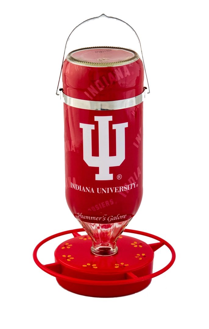 <p class="click">Click to Enlarge</p>
<p>Indiana University front 32 oz
</p>